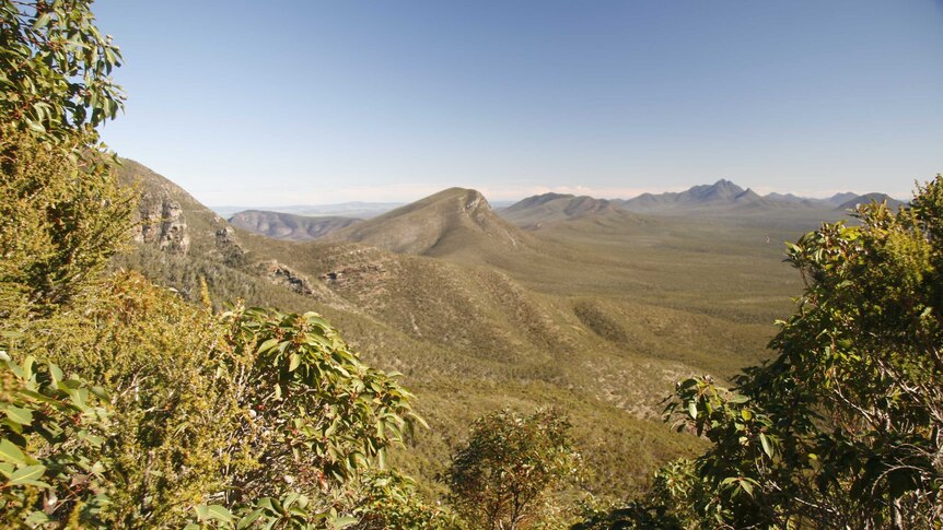 The Stirling Ranges