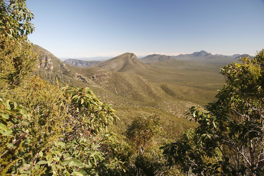 The Stirling Ranges