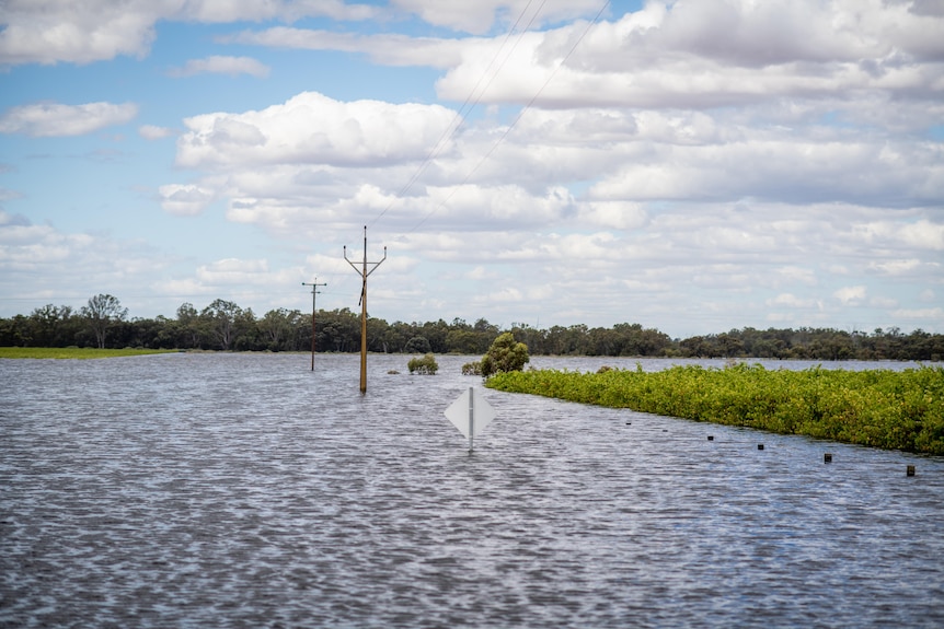 High waters rising up a stobie pole and street sign, with clouds above and greenery to the right