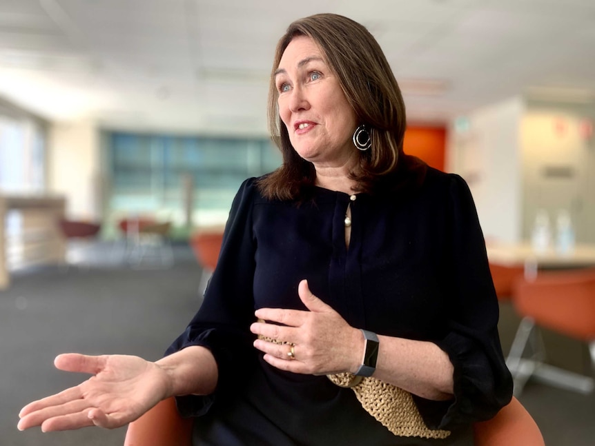 Labor senator Deborah O'Neill sits in an open plan office and gesticulates.