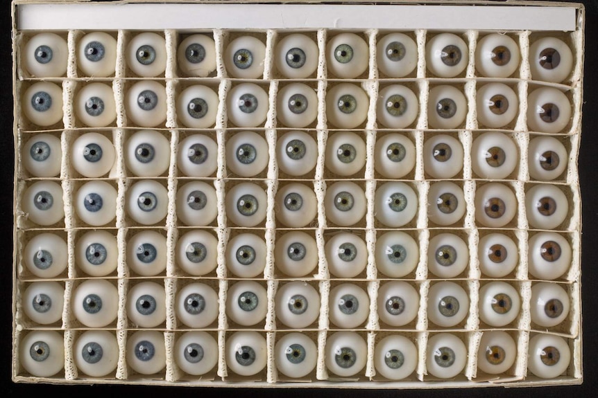 Seventy-seven glass eyes in a box, Paul McClarin collection, National Museum of Australia