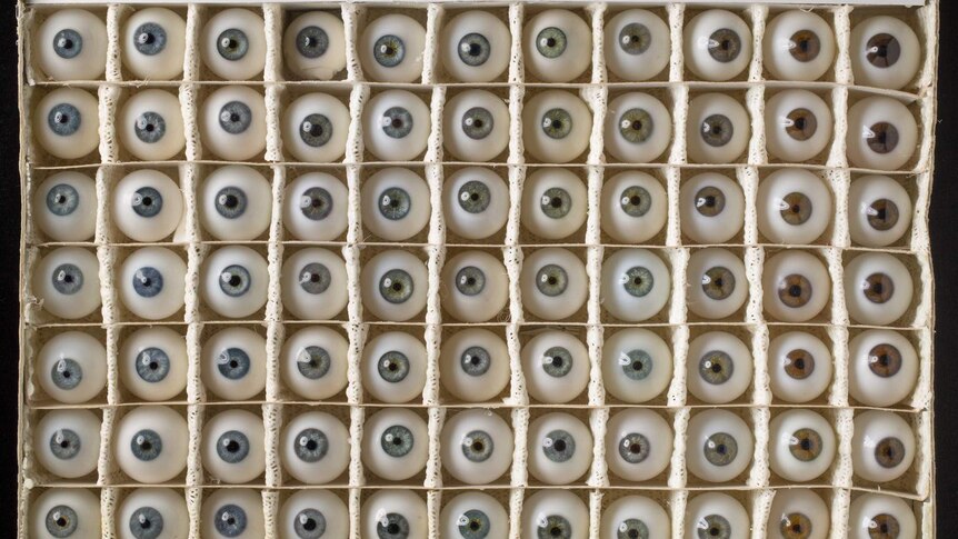Seventy-seven glass eyes in a box, Paul McClarin collection, National Museum of Australia