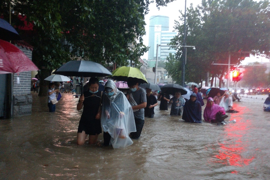 People walk through muddy brown water with umbrellas