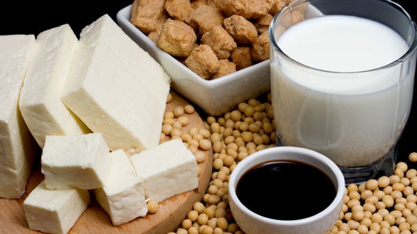A variety of soy foods including tofu, soy milk, soya beans.