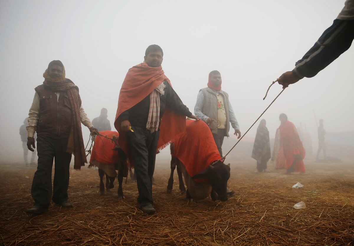 Sword-wielding butchers slaughter thousands of animals to honour Hindu ...