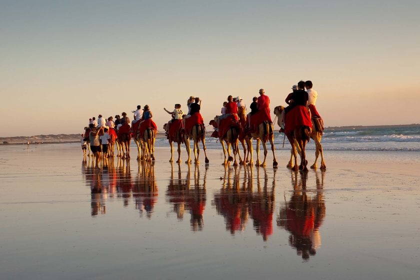 A camel train makes its way along Cable Beach