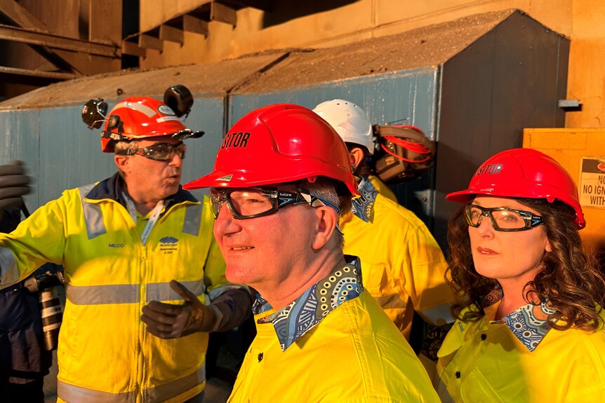 Chris Bowen wears a red hat and high vis shirt while looking at a bright light.