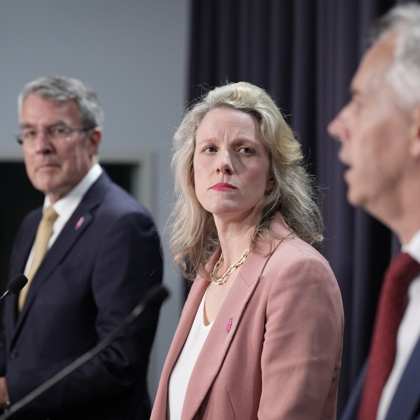 Dreyfus, O'Neil and Giles standing at a press conference. 