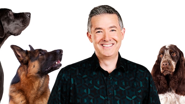 Michael Tetlow standing with dogs looking at him