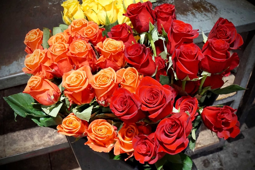 a bucked of orange, yellow and red roses from Ecuador, imported into Australia.