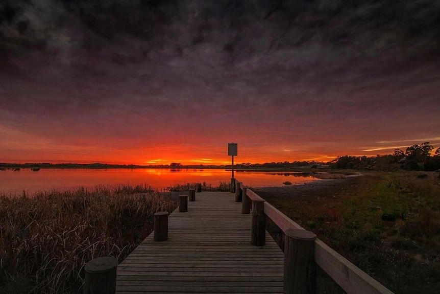 A boardwalk and an orange sunset over Lake Cartcarrong