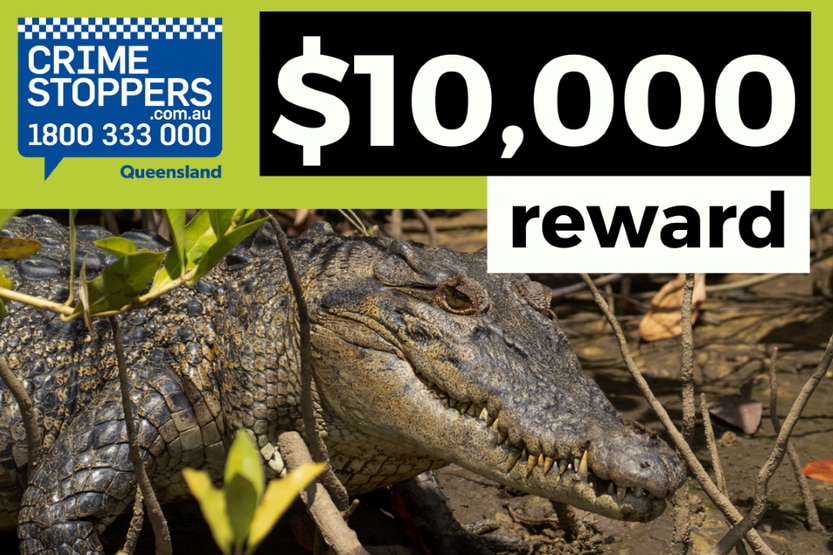 A crocodile is featured on an advertisement for a financial reward