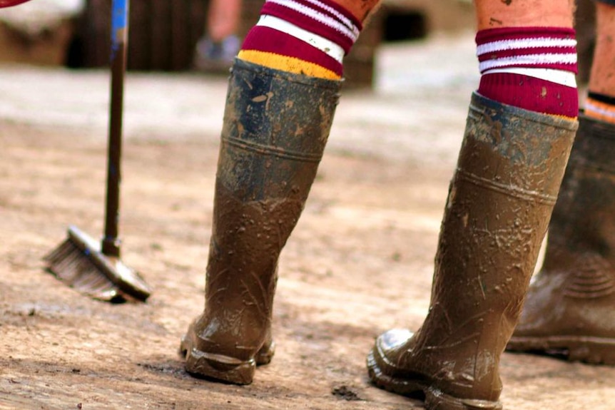 Volunteer wearing gumboots in Brisbane pause to plan their next move after floods covered the city, January 15, 2011.