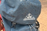 A bag covered in flies.