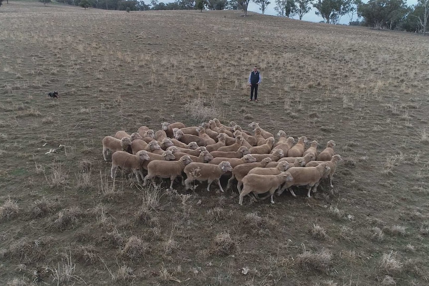 Yeoval farmer Nigel Kerin