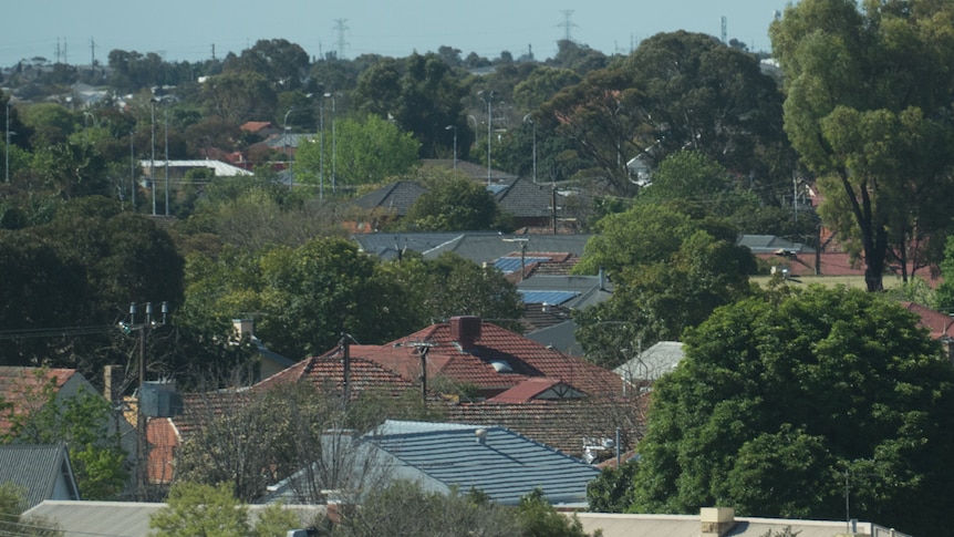 Roof tops in an Adelaide suburb.