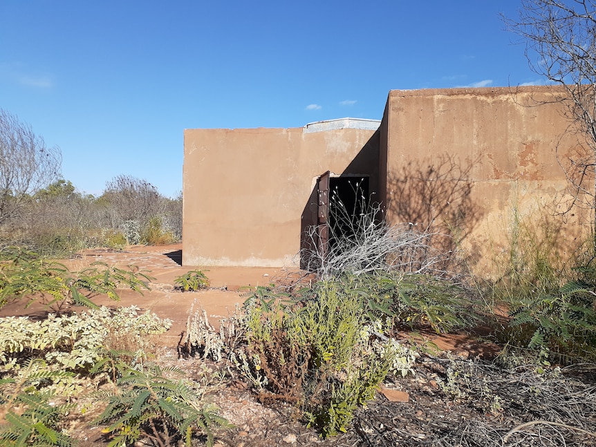 Pale concrete walls amongst native shrubs under blue sky