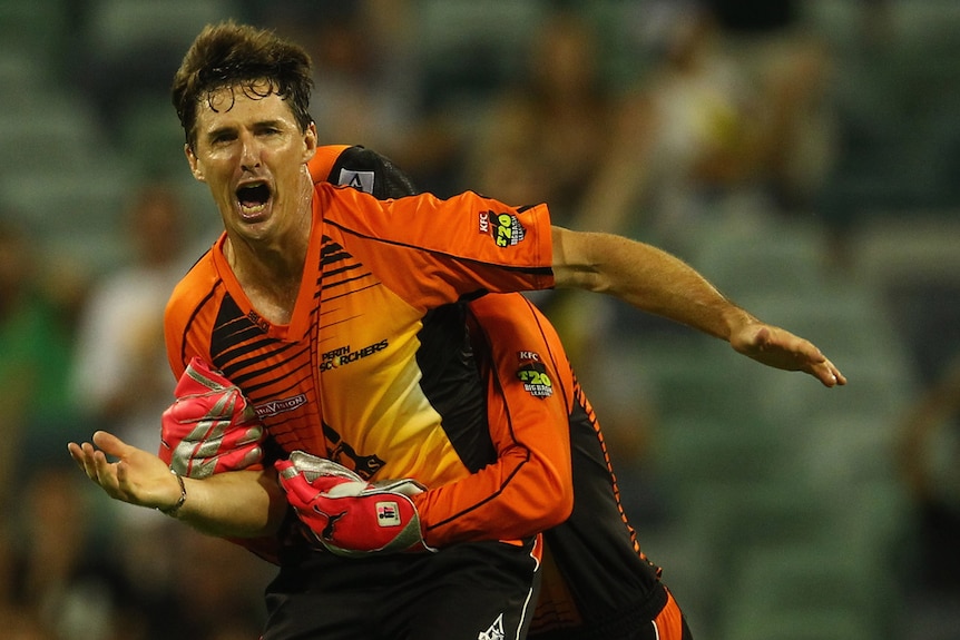 Hogg strikes for the Scorchers (Getty Images: Robert Cianflone)
