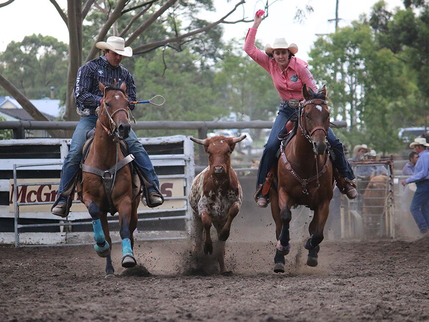 Female rider wearing pink and riding a horse holds up a ribbon pulled from the back of a steer.