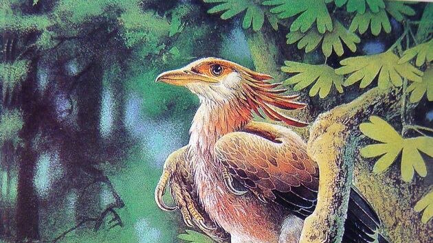 Confuciusornis is a genus of crow-sized, primitive birds from the early Cretaceous period.