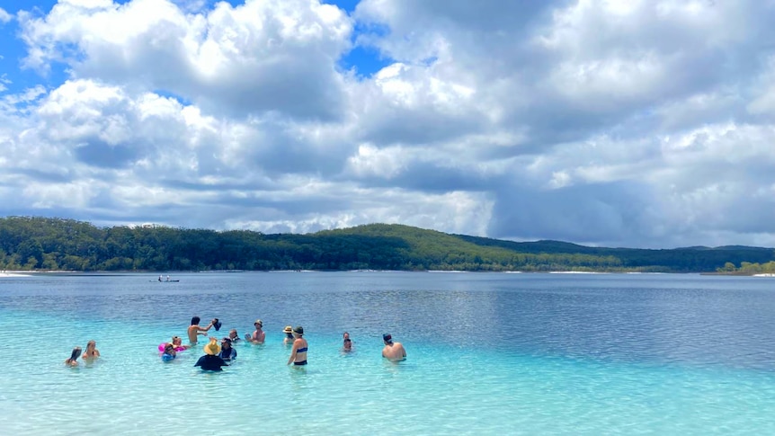 A group of people swim in clear blue water.