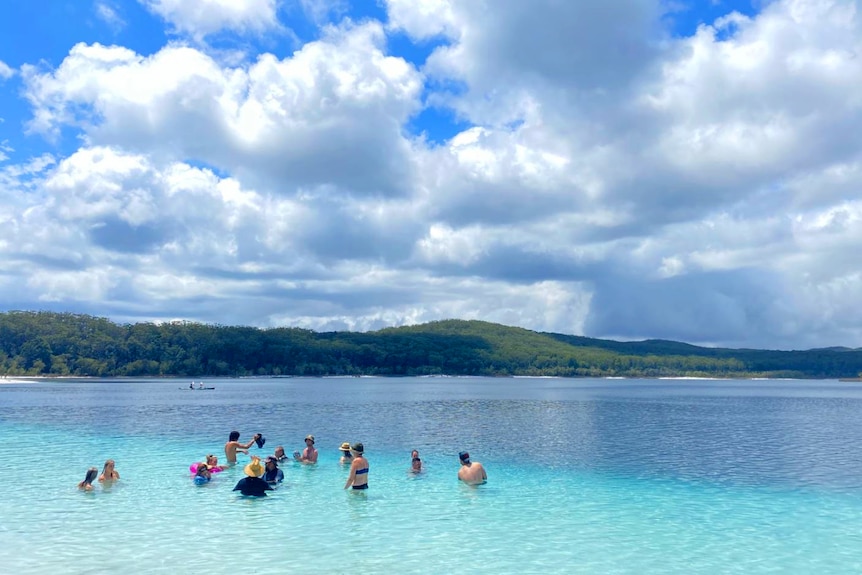 A group of people swim in clear blue water.