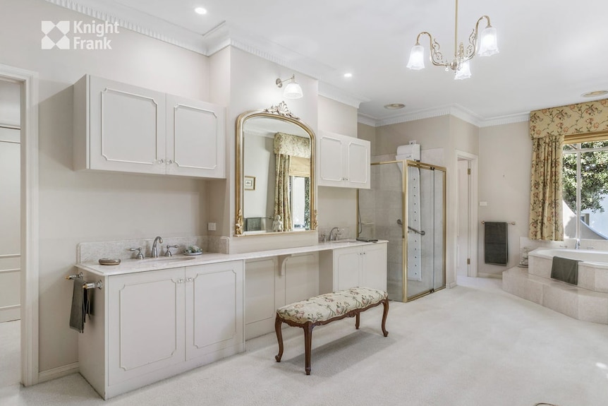 A view of the bathroom shows a long vanity, with a shower in the corner and a spa bath opposite.