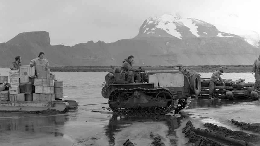 A tractor tows a sledge out of the water on Heard Island in 1954