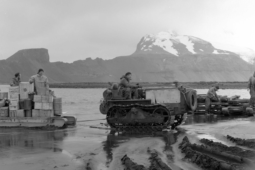 A tractor tows a sledge out of the water on Heard Island in 1954