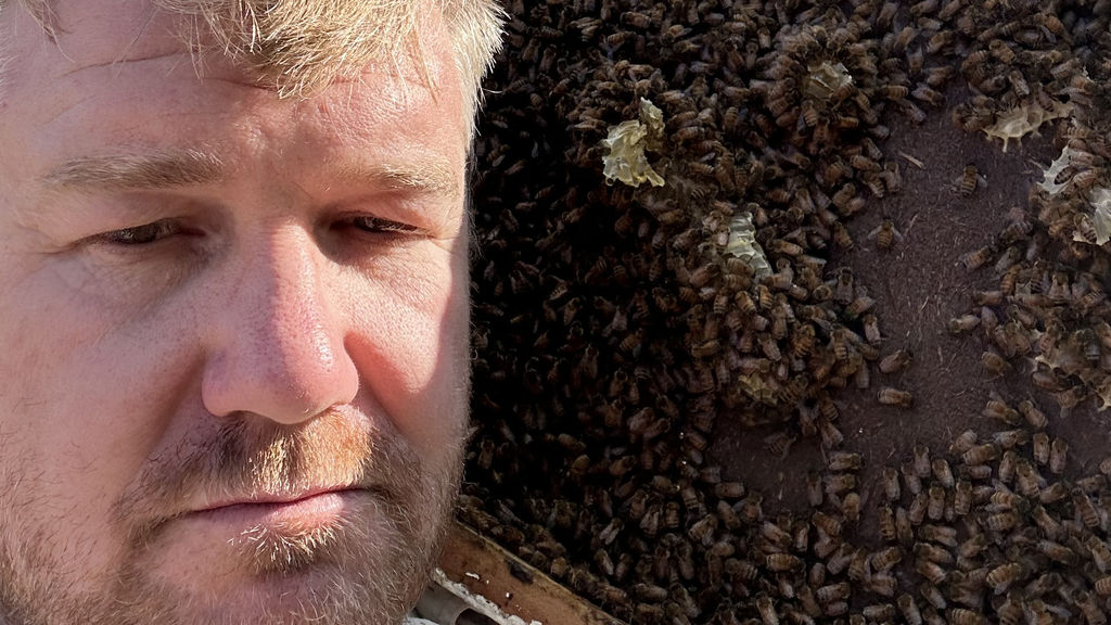 A frowning man stand in front of a hive crawling with bees.