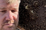 A frowning man stand in front of a hive crawling with bees.