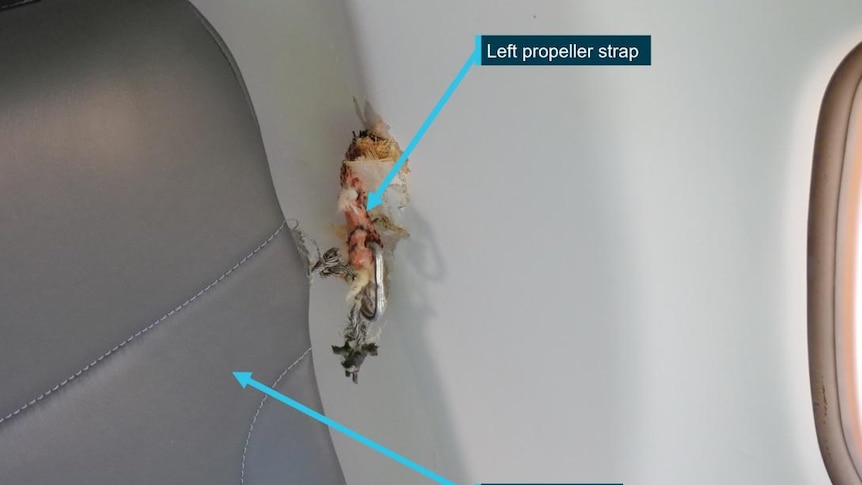 A photograph of a strap protruding through the wall into the cabin of a plane, next to a seat.  
