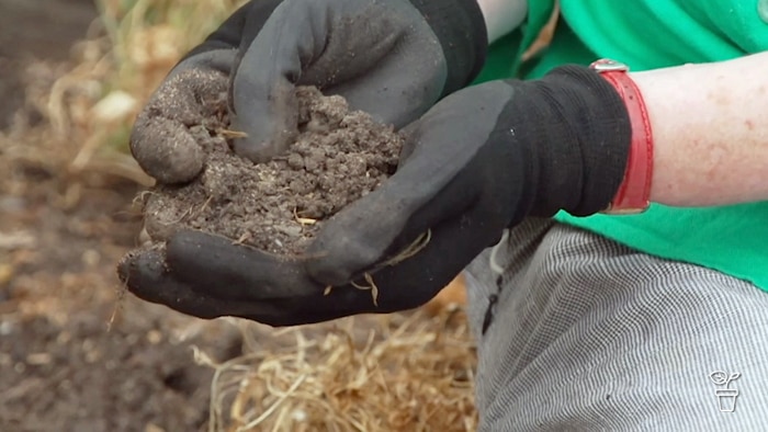 Gloved hands holding soil from a garden bed