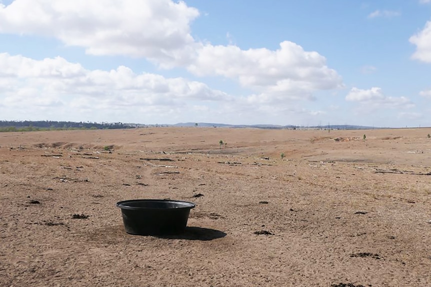 Drought-ravaged landscape at Eidsvold in the North Burnett.