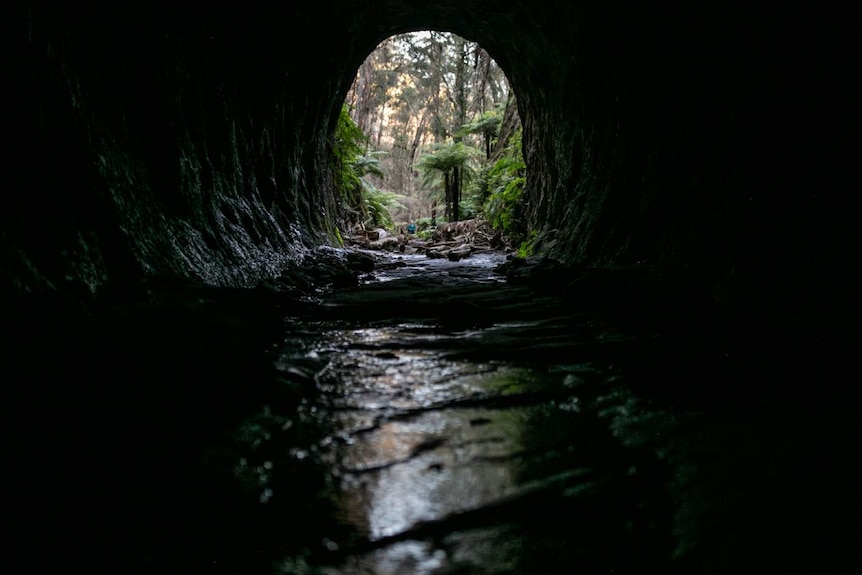 A woman stands at the ends of a tunnel