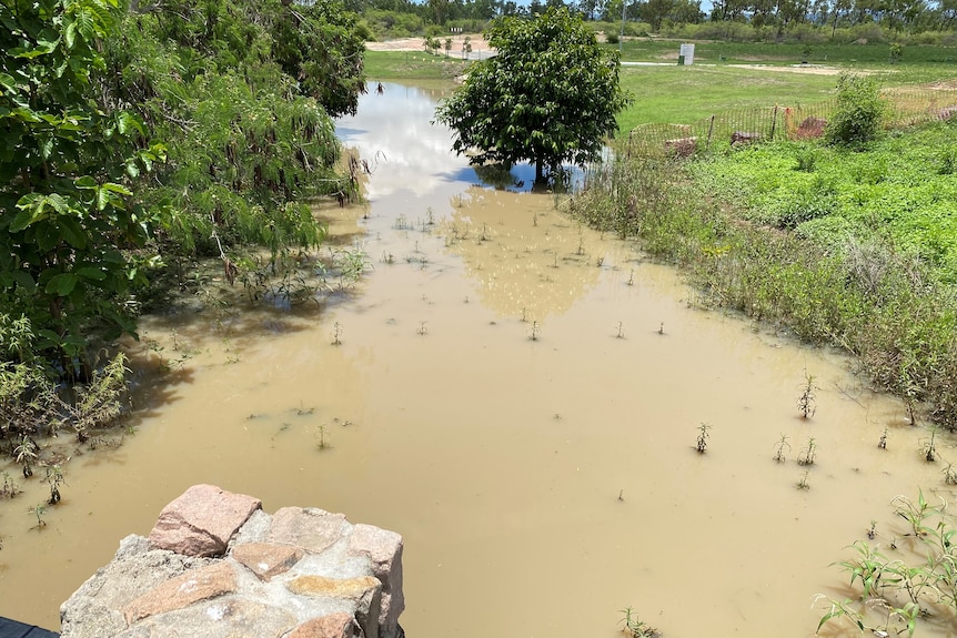 A body of muddy water with green banks lining the stream