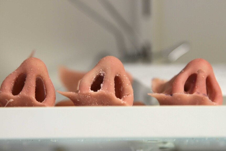 Prosthetic noses