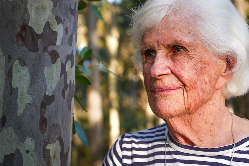Portrait of woman looking into the distance next to a spotted gum tree
