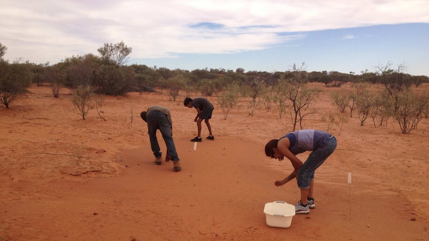 Three people pick things up from the red sandy ground.