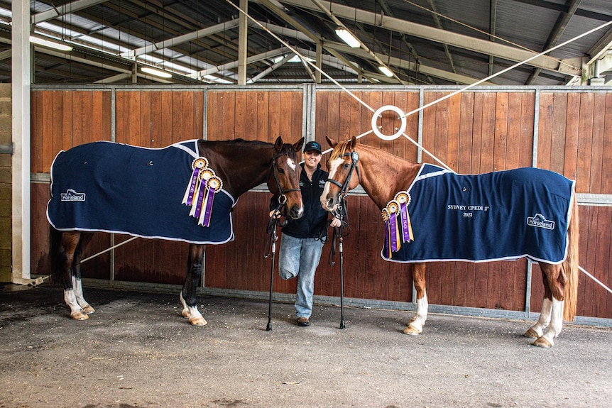 A woman with one leg and crutches stands in between two horses which have prize winning ribbons on them.