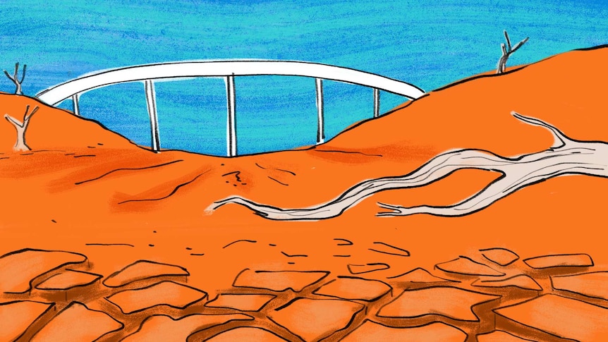 Illustration of a dry, cracked river bed with a dead tree to depict what it's like living through drought.