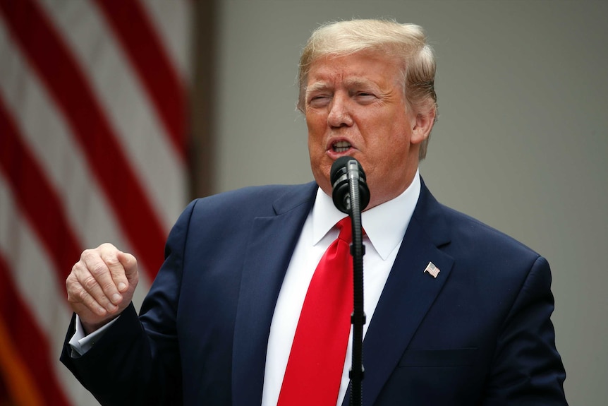 President Donald Trump speaks in the Rose Garden wearing a blue suit and red tie.