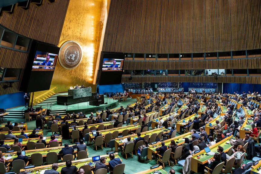 Delegates sit at desks and look up at a screen in the UN General Assembly.