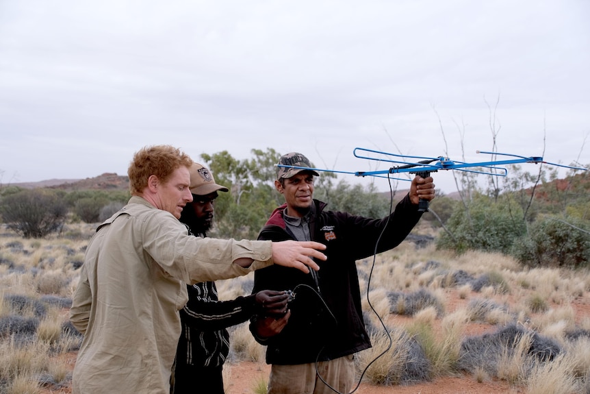 Three men stand in the outback, working with a radio tracking device.