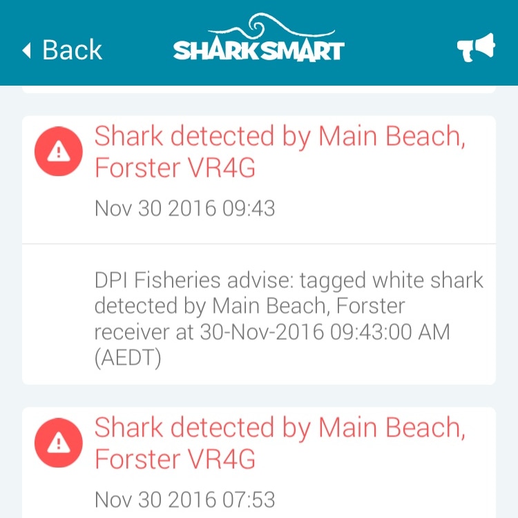 SharkSmart app showing reports of sightings at Forster