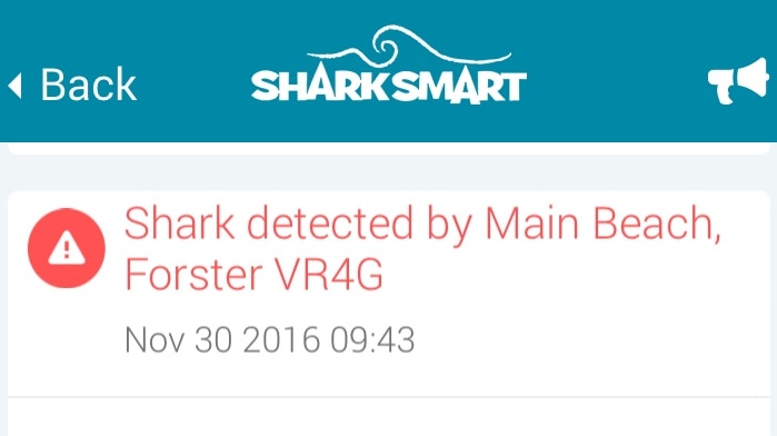 SharkSmart app showing reports of sightings at Forster
