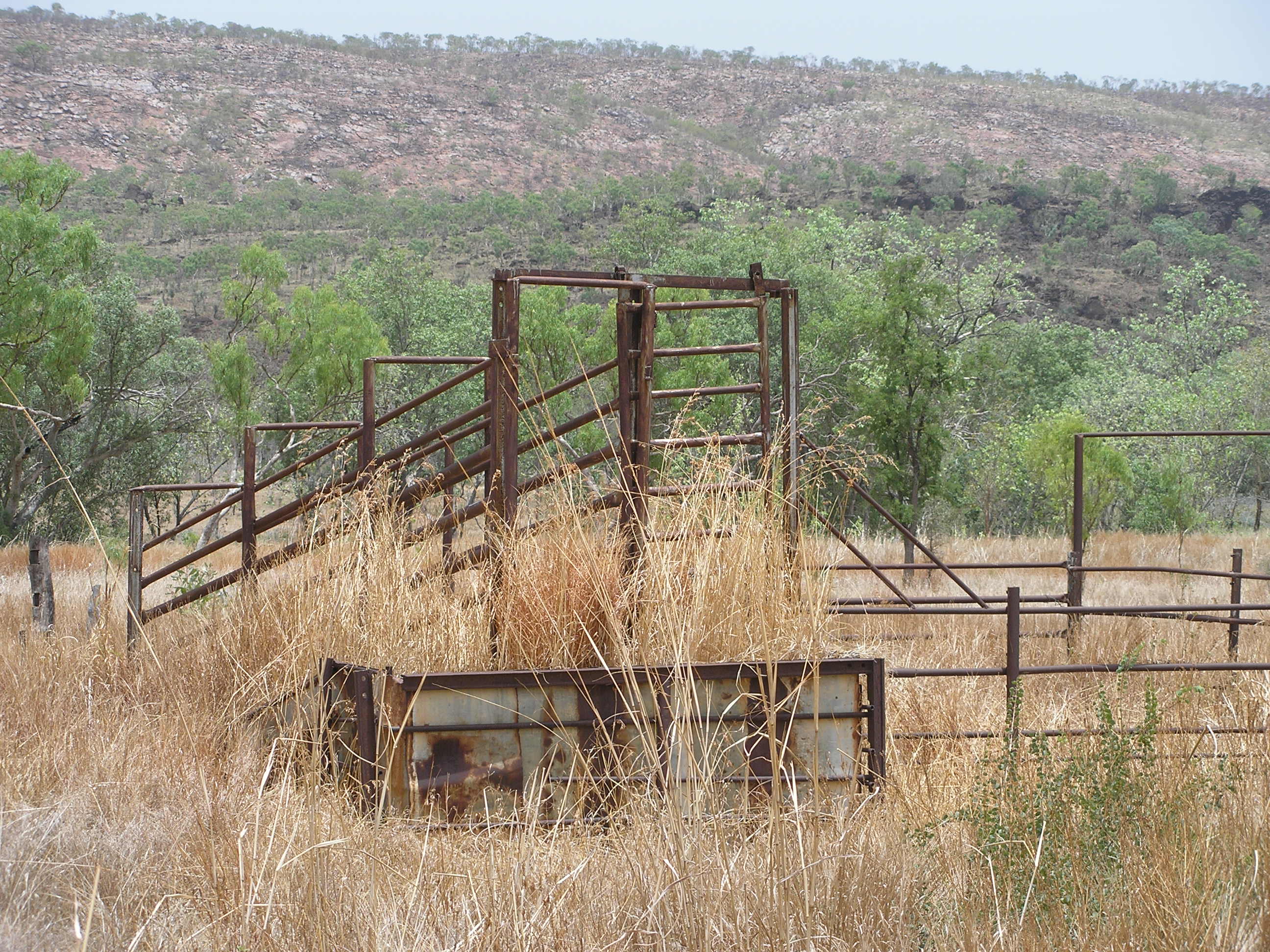 Long grass and rusty stock yards with a red rock range in distance