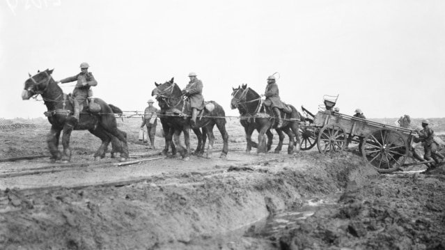 Drivers WW1