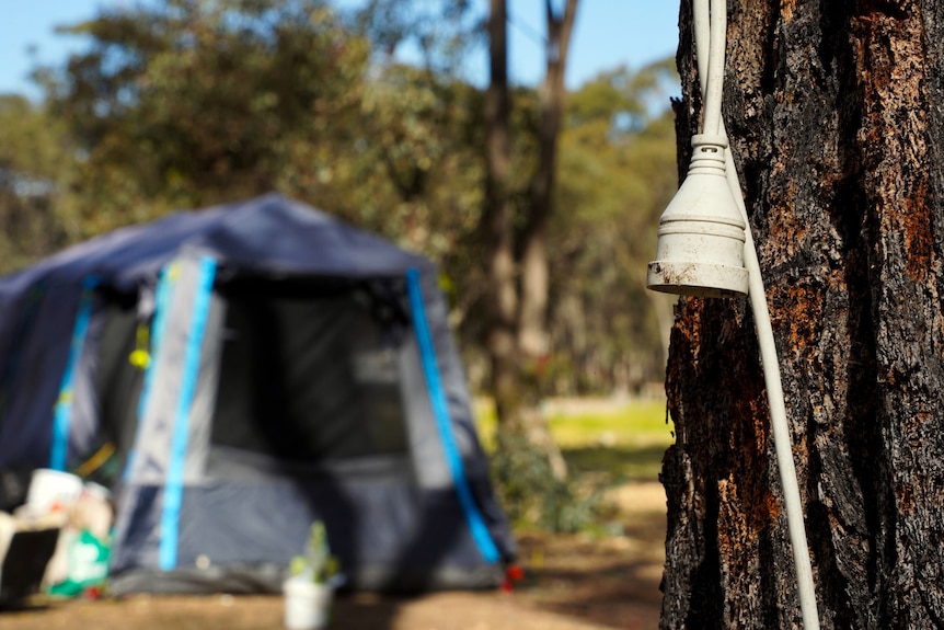An extension cord hanging from a tree outside a tent, where a family is living.