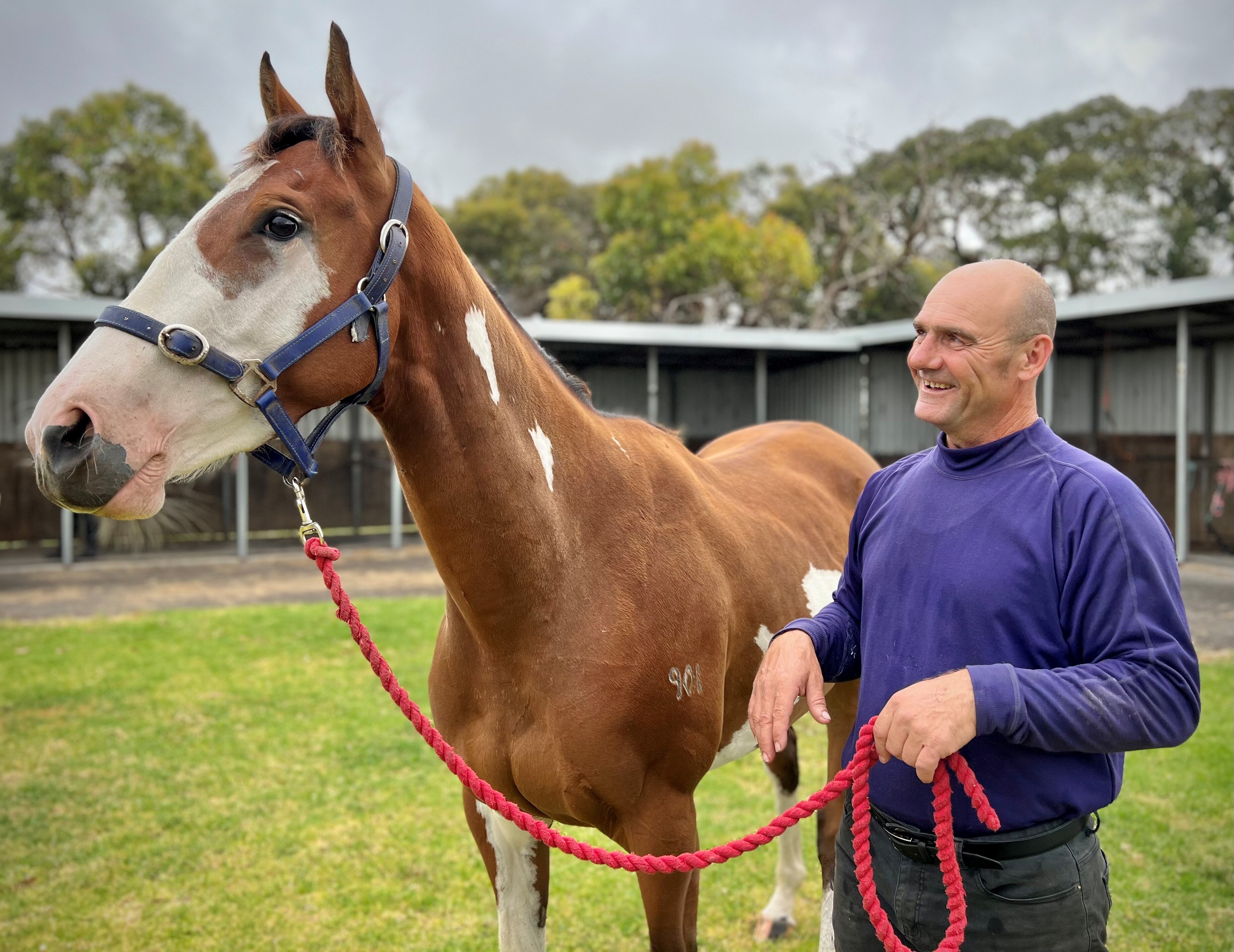 Racehorse Comanche Queen saves SA trackwork rider Danny Smith from life